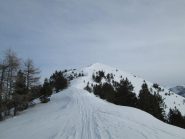 quasi in cima...