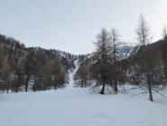 alla fine del bosco ripido...