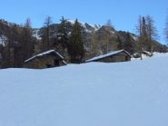 salendo al col Larissa deviati alla Cimetta Rossa