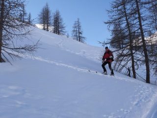 temperatura da dimenticare