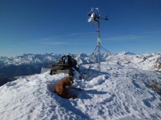 Cime della Valli di Lanzo dalla cima