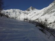 Ritornando nel bosco.