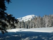 giornata doc...il beverin sullo sfondo