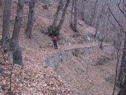 In discesa sull'antica mulattiera di Vasario