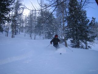 nel bosco del Ravin des Gravieres