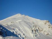 il Tibert