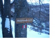 La pista passa di qui'..