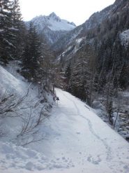 La neve all'attacco