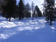 Poco oltre nel bosco