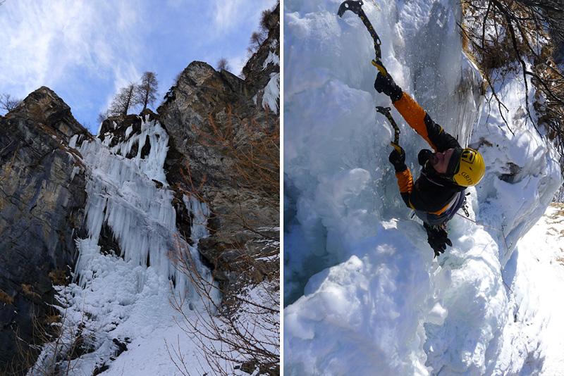 Parte bassa (sinistra) e Sig. Cavolfiori (destra).