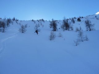 Bella farina tra i pini
