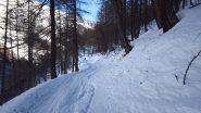 Veloce stradina nel bosco...