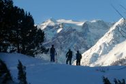 usciti dal bosco, chissa poi cose c'è di bello da guardare...???