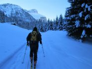 Nel bosco innevato
