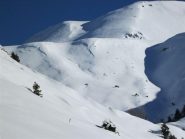 camosci in lontananza