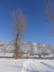 panorama dalle piste di festiona