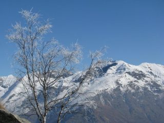 Panorama sulle Quinzeine