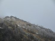 Oggi Arbella nella nebbia e alberi ricoperti di galaverna