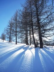 Le ombre si distendono...