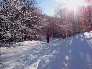 verso il Maggiorasca