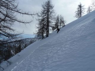 Solo polvere !!!