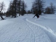 Spettacolo nel bosco