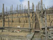 Dettaglio del canale di scolo delle acque piovane