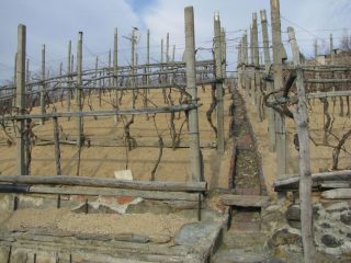 Dettaglio del canale di scolo delle acque piovane