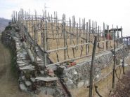 La bellisima vigna LA GARINA