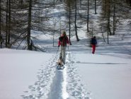bella traccia di salita nel bosco