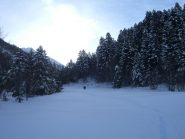 la radura di partenza 