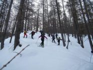 in salita nel lariceto,bel gruppetto