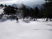 qui è già primavera!