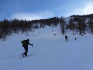 Radura sotto quota 2080