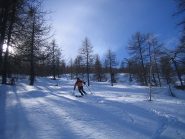 neve ben sciabile nel bosco esposto a nord
