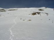 ripidi pendii