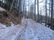 alla partenza .... neve dura coperta da aghi di pino...