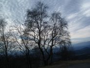 Controluce!