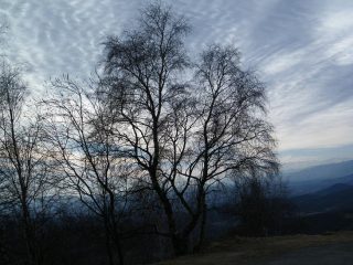 Controluce!