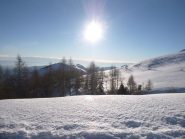 lungo la strada forestale