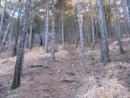 tratto iniziale del sentiero