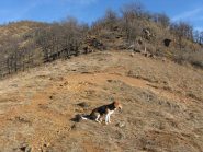 la piazzola di partenza del parapendio: Flick vorrà lanciarsi?