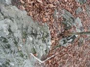 Su questa cima la croce di vetta è incisa