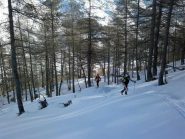 nel bosco