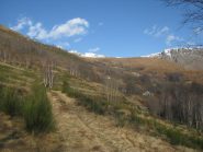 Salendo le pendici est del Monte Calvo