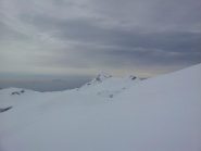 alpago o patagonia?