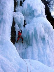 Cavolfiori sul primo tiro