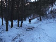 arbusti sulla neve nel finale