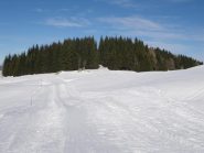  Scorcio...