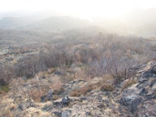 dal Monte Margut